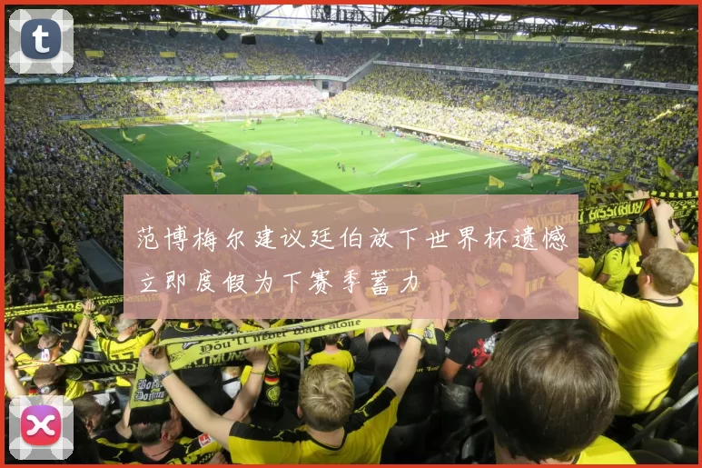 范博梅尔建议廷伯放下世界杯遗憾立即度假为下赛季蓄力